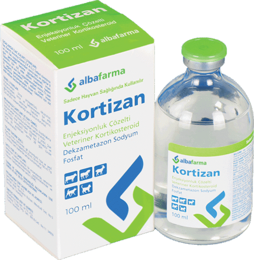 KORTIZAN