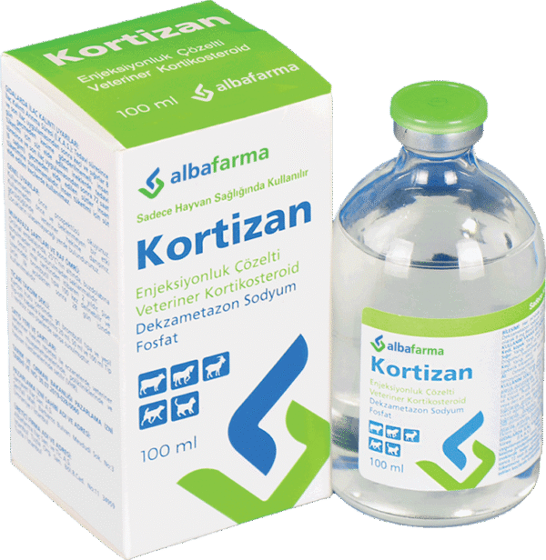 KORTIZAN
