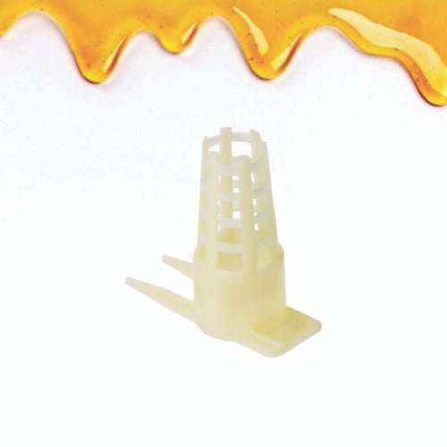 Ana arının qorunması üçün qəfəs