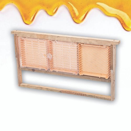 Ana arı yetişdirmə dəsti