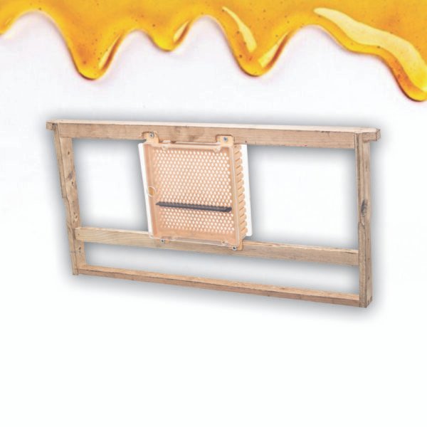 Ana arı yetişdirmə dəsti